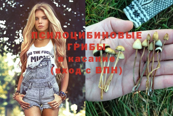 стаф Баксан