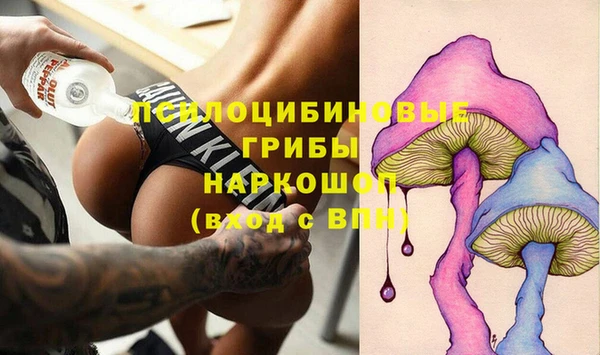 стаф Баксан