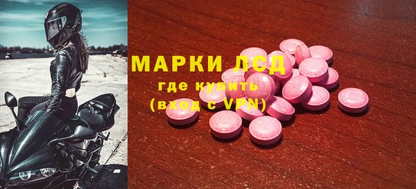 стаф Баксан