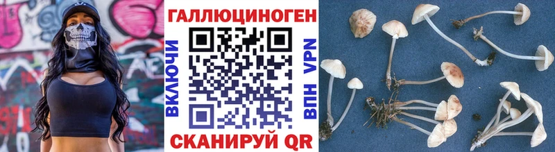 Галлюциногенные грибы Magic Shrooms наркотики Дальнегорск