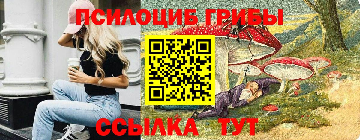 Дальнегорск  Псилоцибиновые грибы Psilocybe  Вход с VPN 